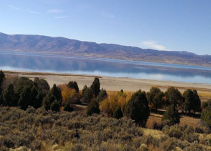 A beautiful lake located at the top of the mountain up Logan canyon can raech it from UT, WY and ID check your map!